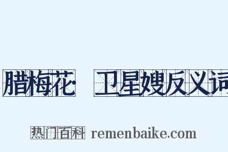 腊梅花·卫星嫂反义词是什么意思的图片